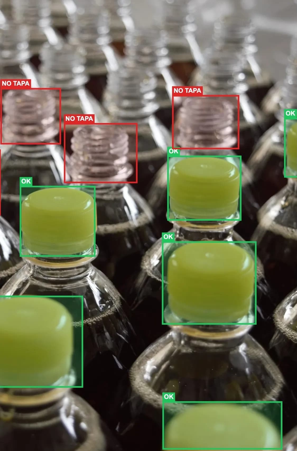 Pl谩sticos y Envases